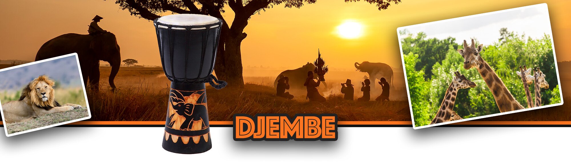Djembe - meine-trommel.de